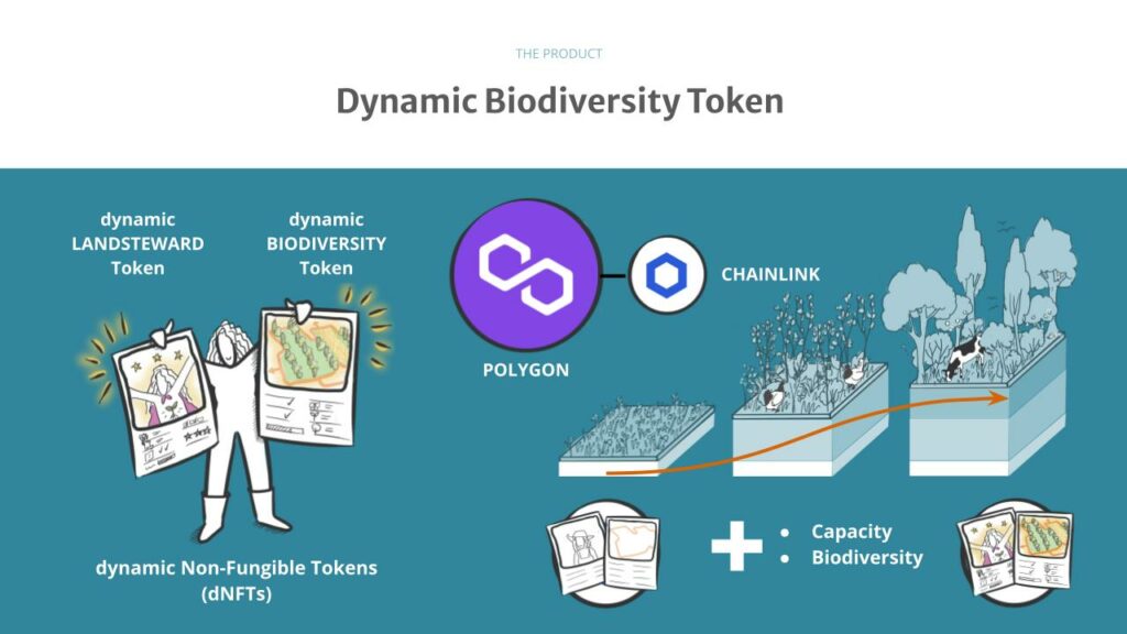dynamic Biodiversity Tokens