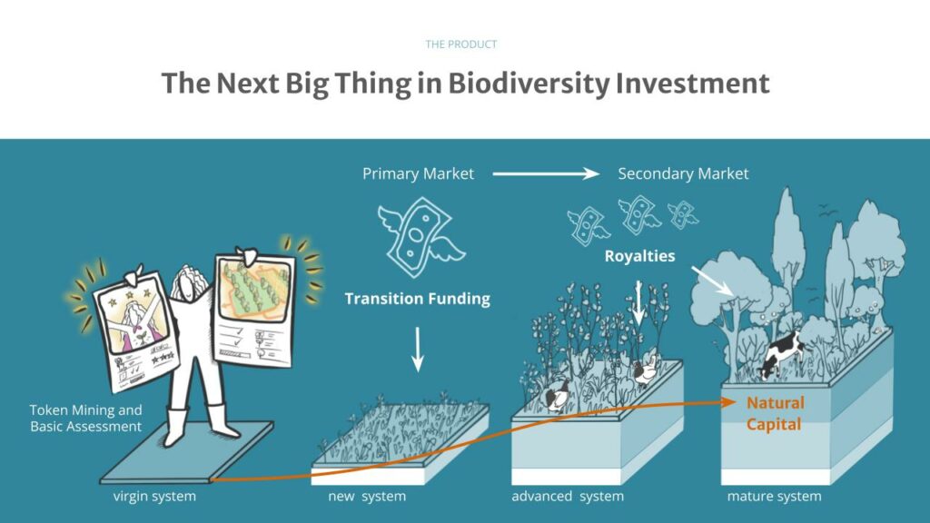 dynamic Biodiversity Tokens Investment