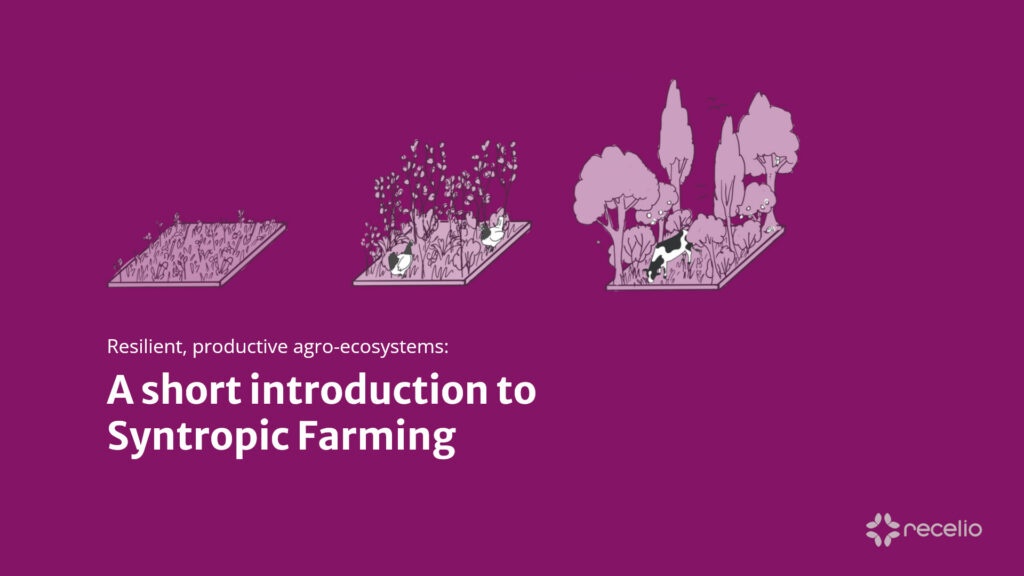 Quick guide: Syntropic Farming