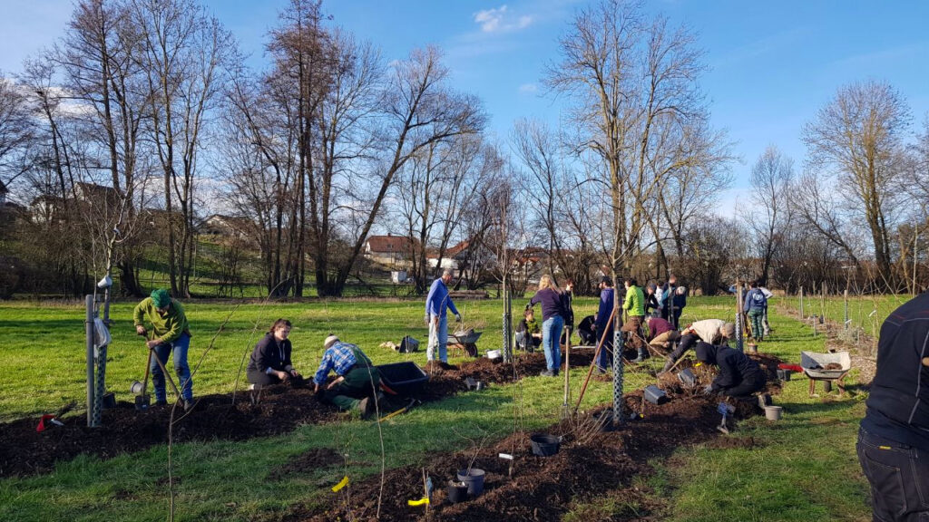 A group of people planting trees during a Syntropic Farming field training in Germany, in March 2024