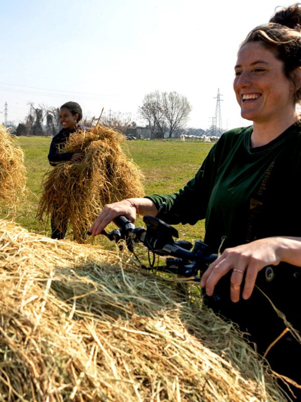 Women laughing and bringing straw